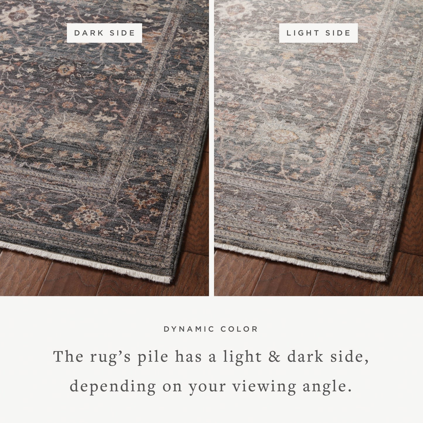 Alexander Home Lynda Vintage Botanical & Floral Area Rug