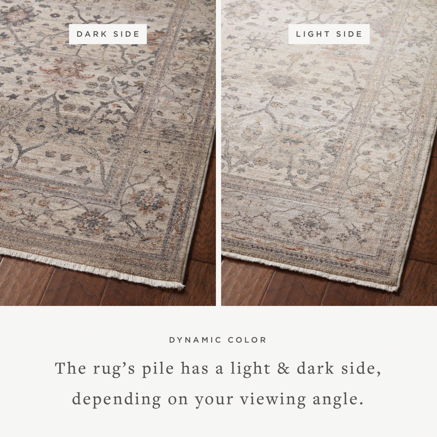 Alexander Home Lynda Vintage Botanical & Floral Area Rug