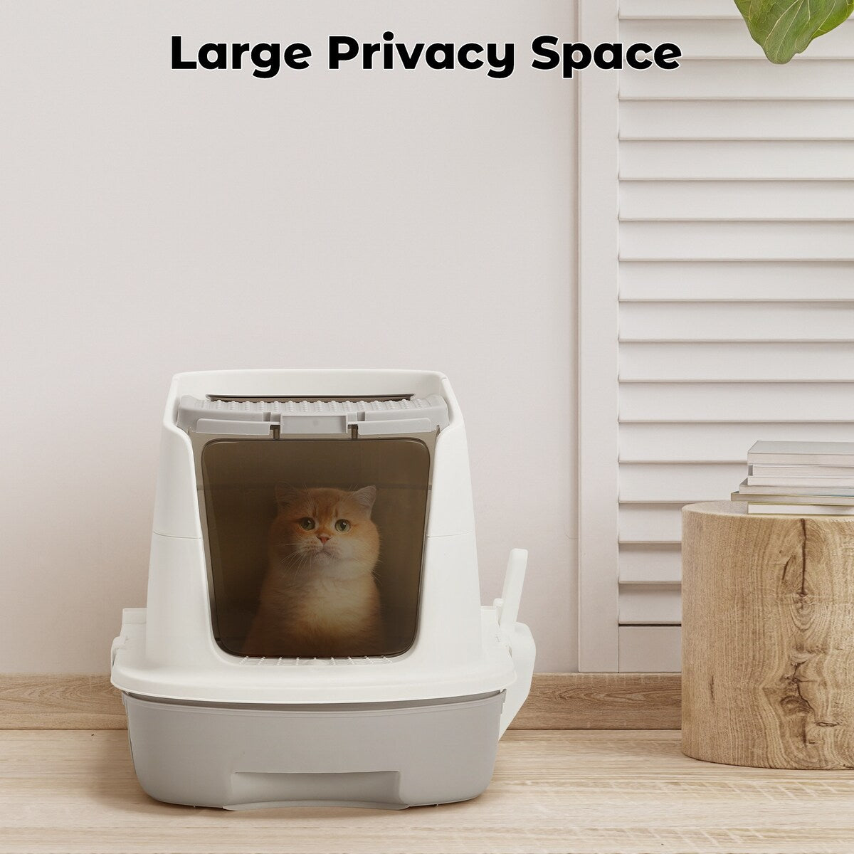 Cat Litter Box with Scoop