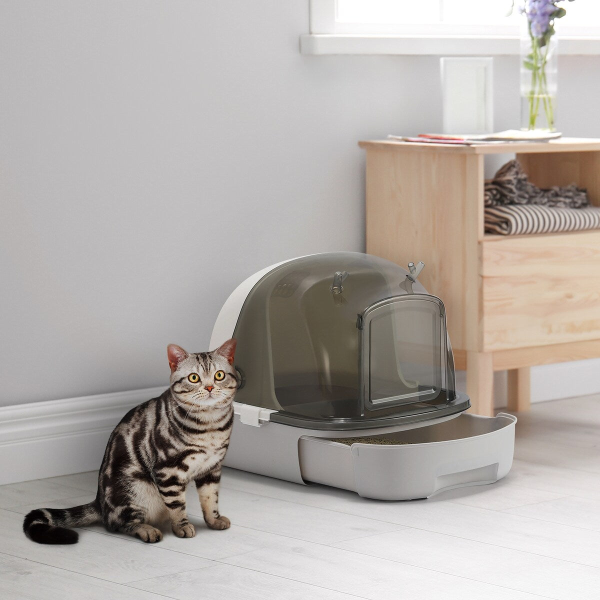 Cat Litter Box with Scoop
