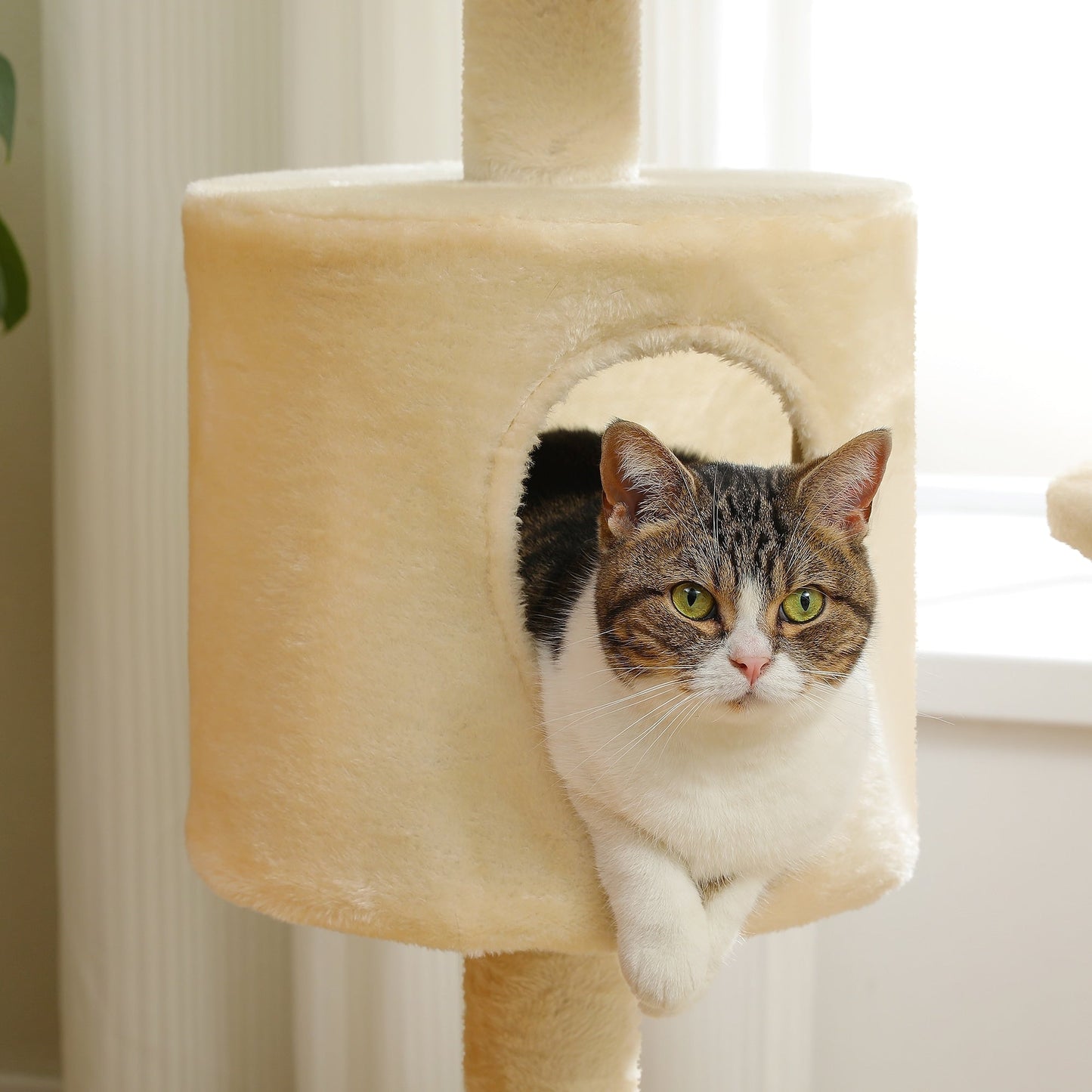 Multi-Level Cat Climbing Tower with Cat Condo, Cat Tree with Scratching Board
