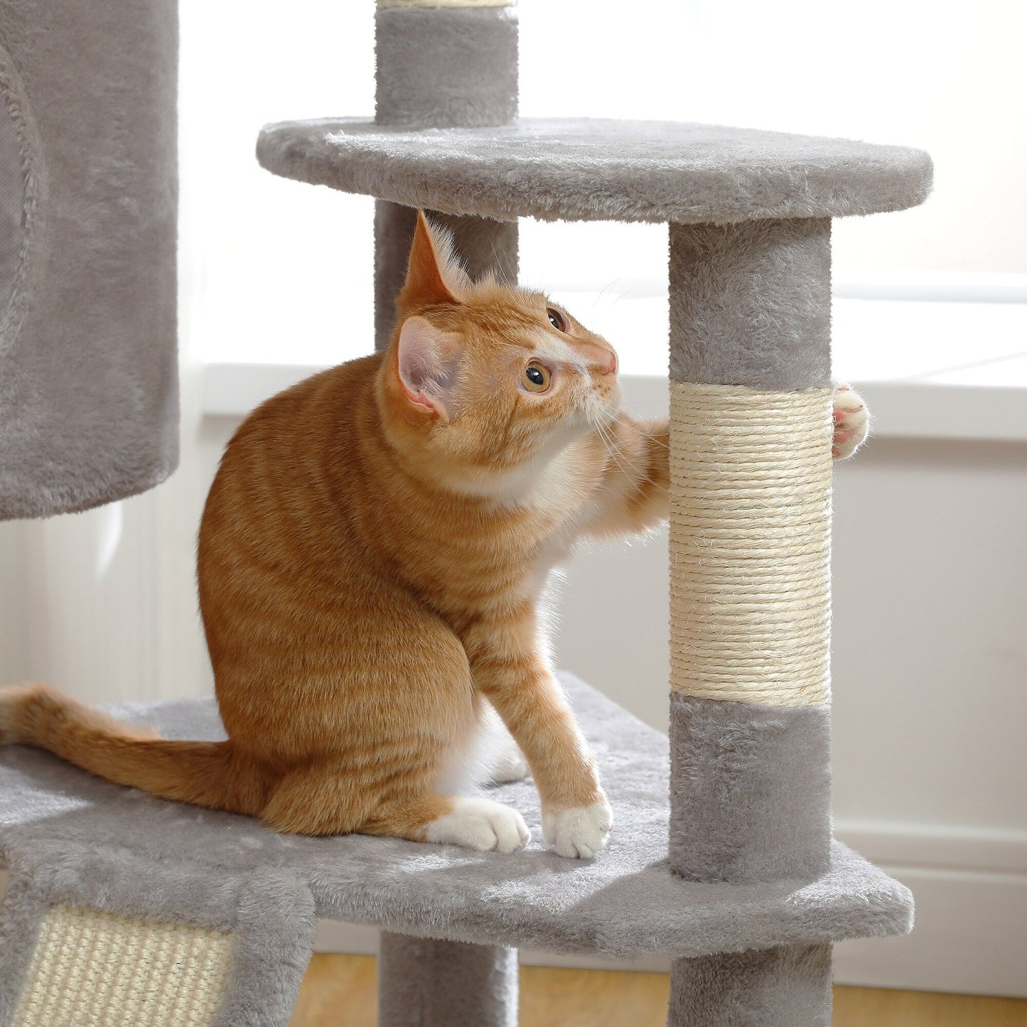 Multi-Level Cat Climbing Tower with Cat Condo, Cat Tree with Scratching Board