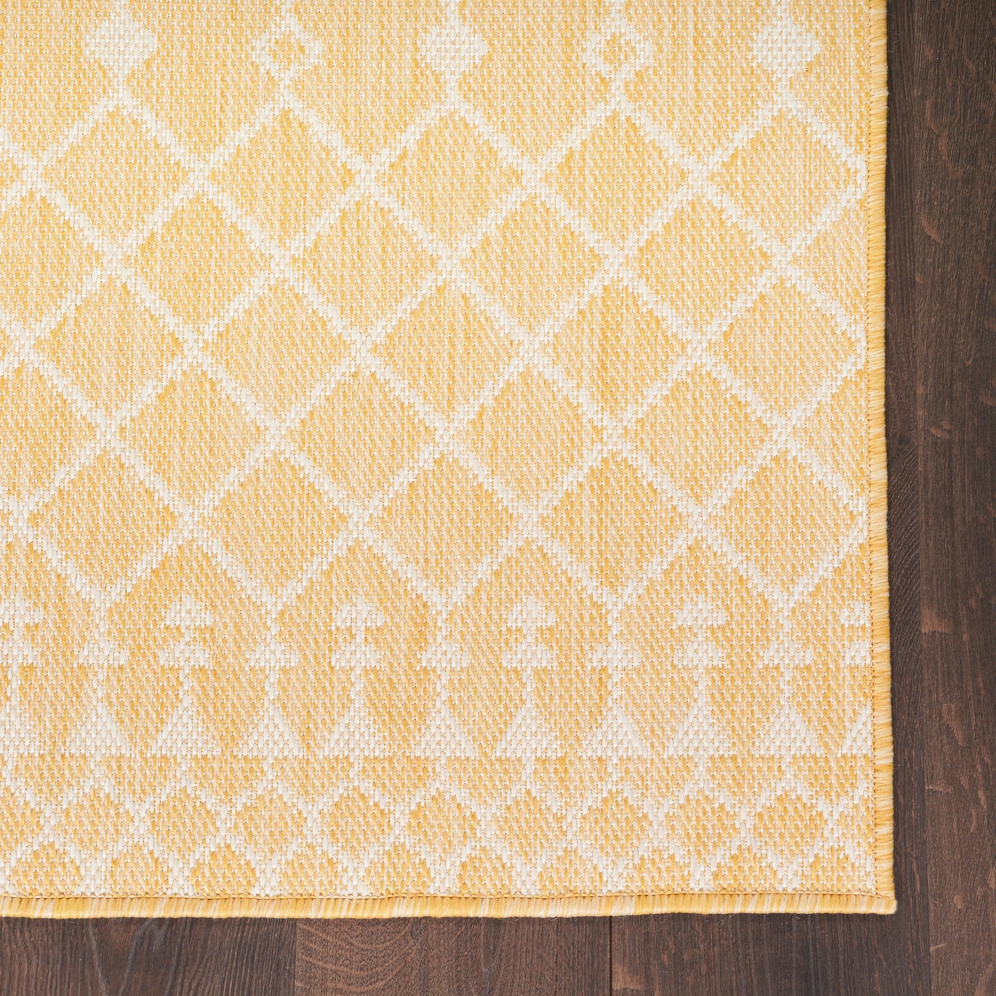 Nourison Selerno Indoor/Outdoor Moroccan Area Rug.