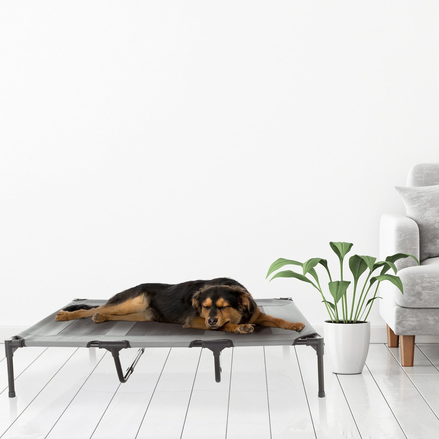 Petmaker Steel Frame Elevated Dog Bed with Non-Slip Feet - Indoor/Outdoor Puppy Cot for Pets
