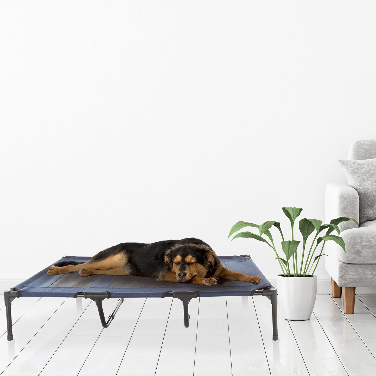 Petmaker Steel Frame Elevated Dog Bed with Non-Slip Feet - Indoor/Outdoor Puppy Cot for Pets
