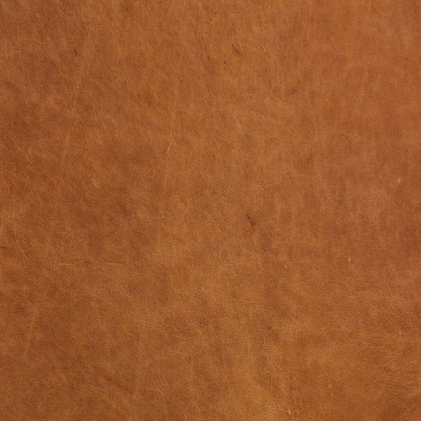 Canapé Poly & Bark Essex 89 - Cuir italien véritable pleine fleur