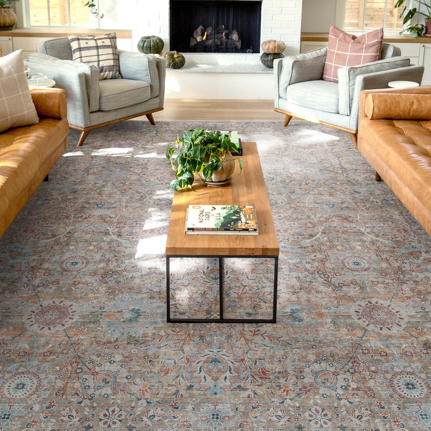Well Woven Asha Vintage Emilia Flat-Weave Area Rug