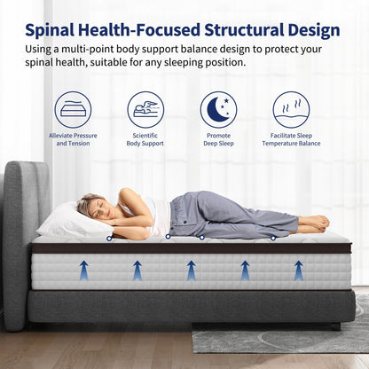 14 Inches Mattress, Memory Foam and Pocketed Spring Hybrid Mattress,Medium Firmness Mattress,Queen and King Size Optional