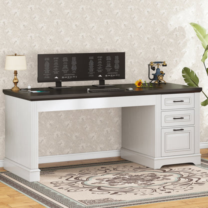 Farmhouse Executive Desk Home Office Desk File Drawer Monitor Stand Power Outlet