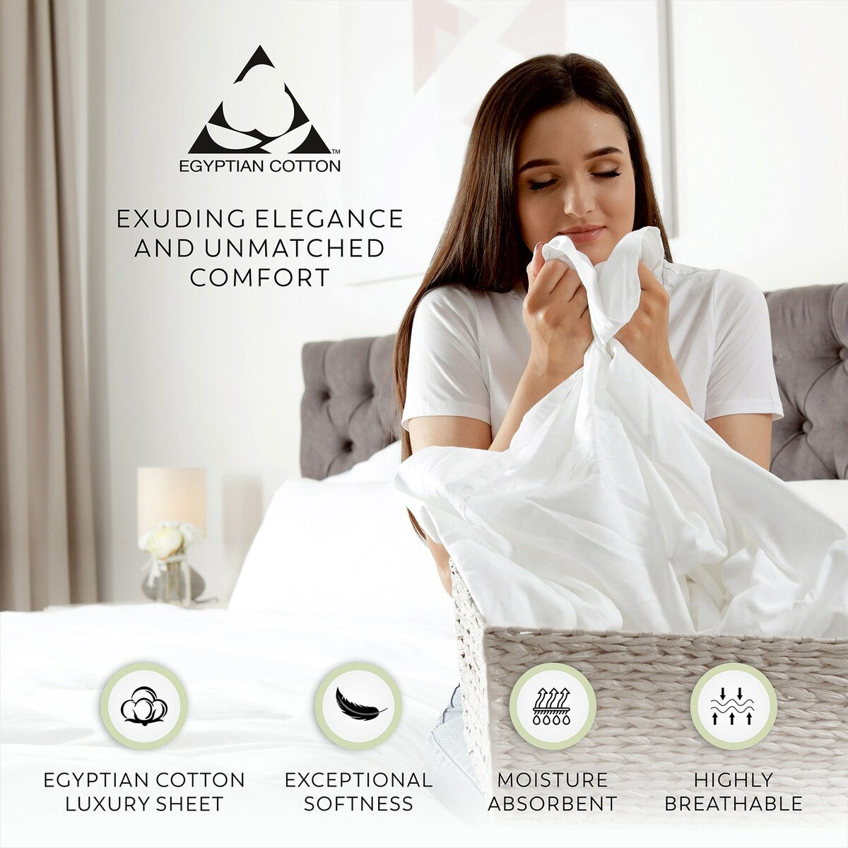 Aireolux 1000 Thread Count Ultra-Soft & Silky Luxury Egyptian Cotton Sheet Set