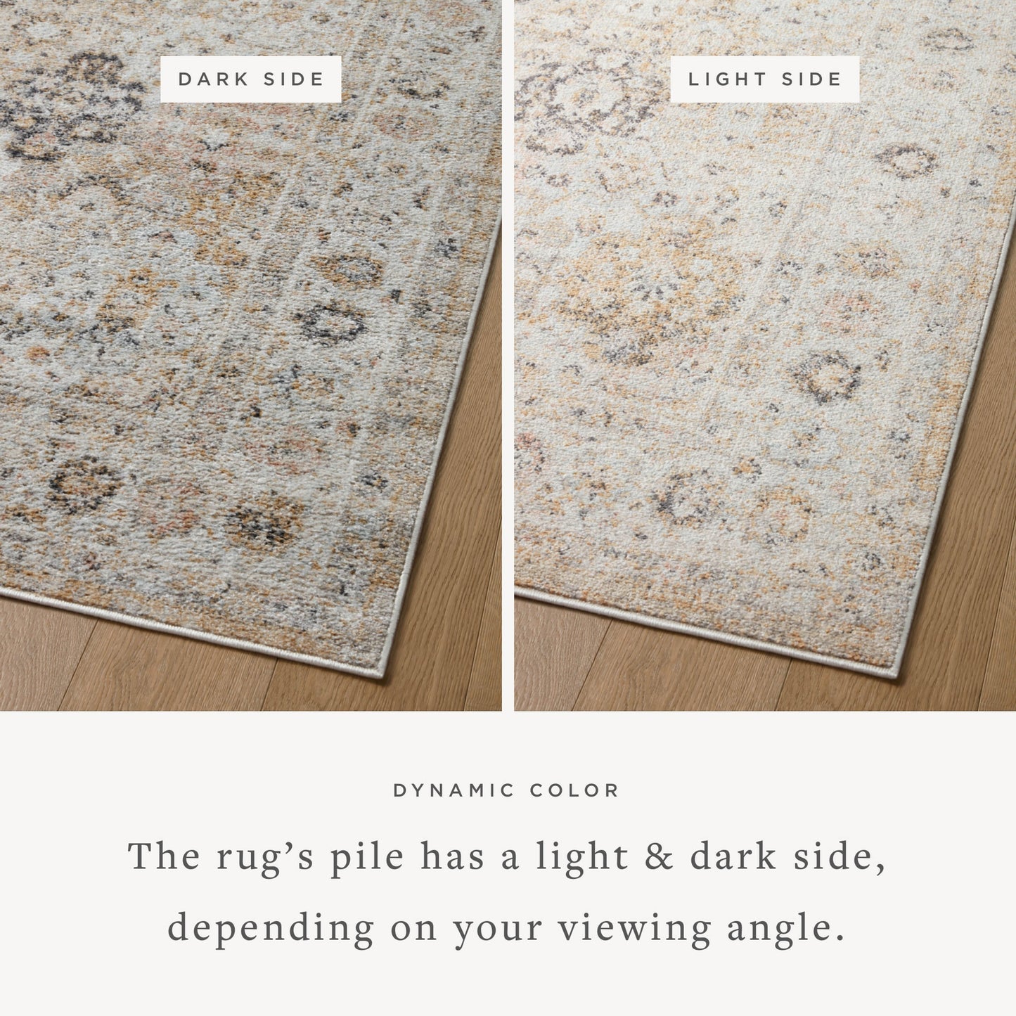Alexander Home Marilyn Botanical Persian Area Rug