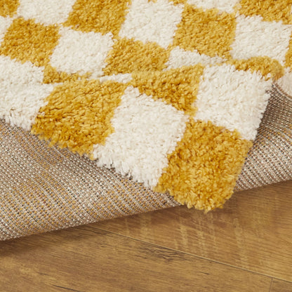 Mackie Checkered Shag Area Rug