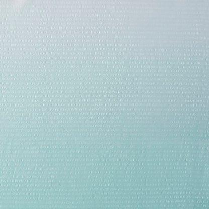 Madison Park Loire Ombre Printed Seersucker Shower Curtain