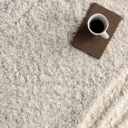 Nuloom Gloria Abstract Shag Area Rug