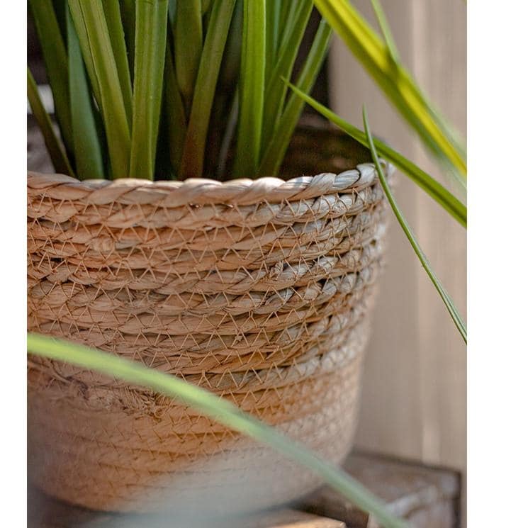 RusticReach Natural Straw Desktop Flower Basket