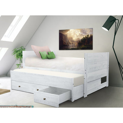 Taylor & Olive Begonia Twin Bed with Twin Trundle & 3 Built in Drawers